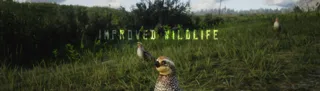 Original release preview for Improved Wildlife ALPHA 0.7.1