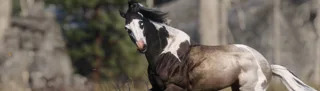 Original release preview for Realistic Horse Eyes