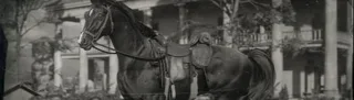 Original release preview for Bigger Horses