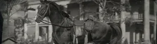 Original release preview for Better Horses