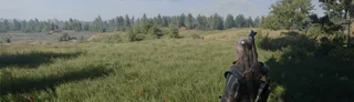 Original release preview for Dynamic Grass Overhaul — Wind Waves, Cleanup and Density